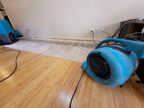 Professional Burst Pipe Water Damage technician working in Highland, KS