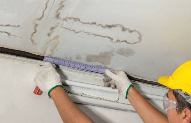 Affordable Burst Pipe Water Damage solutions in Highland, KS
